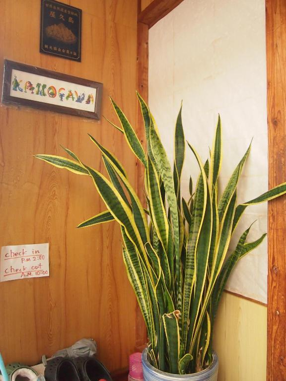 Tirol Hotel Yakushima  Ruang foto